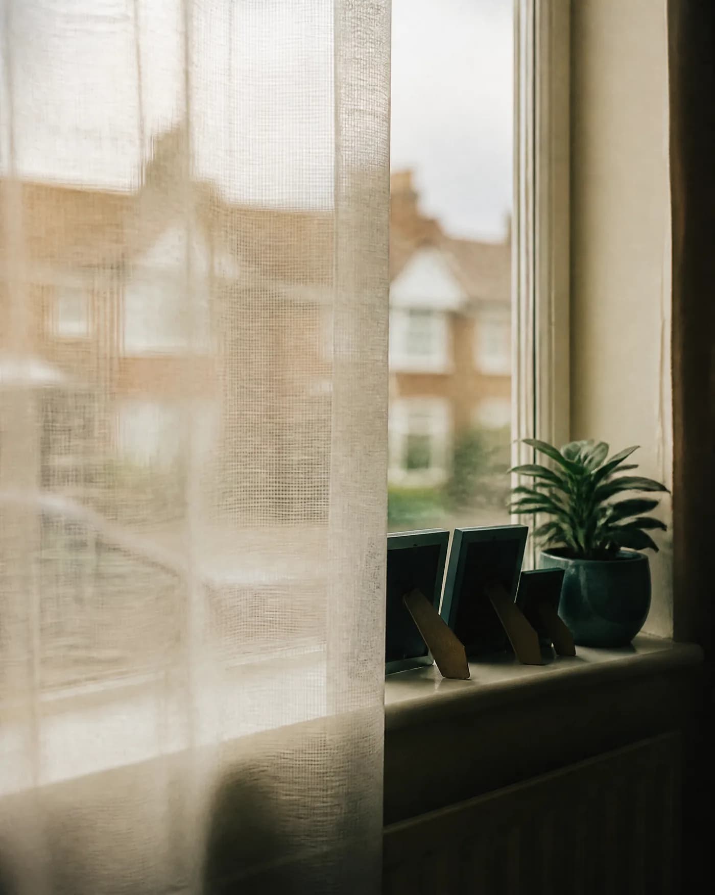 Afternoon light through a net curtain onto a windowsill with framed photographs and a plant